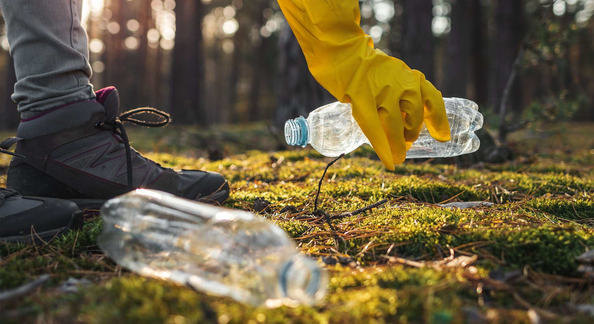 Ile rozkłada się plastik? Czemu butelki PET są szkodliwe dla planety?